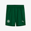 Conjunto Infantil Puma Palmeiras 2025/26 II