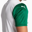 Camisa Puma Palmeiras 2025/26 II Jogador