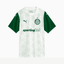Camisa Puma Palmeiras 2025/26 II Torcedor