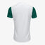 Camisa Puma Palmeiras 2025/26 II Jogador