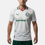 Camisa Puma Palmeiras 2026/27 II  Jogador