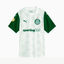 Camisa Puma Palmeiras 2025/26 II Torcedor