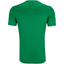 Camisa Palmeiras Treino 25/26 - Torcedor Masculina - Verde