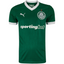 Camisa Palmeiras I 25/26 - Torcedor Masculina - Verde e Branco
