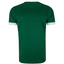 Camisa Palmeiras I 25/26 - Torcedor Masculina - Verde e Branco