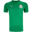 Camisa Palmeiras Treino 25/26 - Torcedor Masculina - Verde