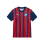 Camisa Bahia 25/26 Away Torcedor Puma Masculino  - Azul e Vermelha